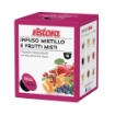 10 Capsule Dolce Gusto Ristora INFUSO MIRTILLI E FRUTTI MISTI